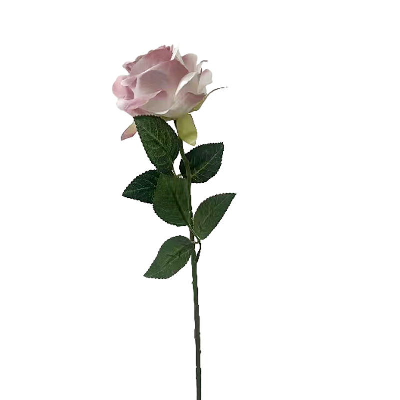 假花/5朵塑膠花/塑膠花/仿真花/塑料仿真花白底实物图