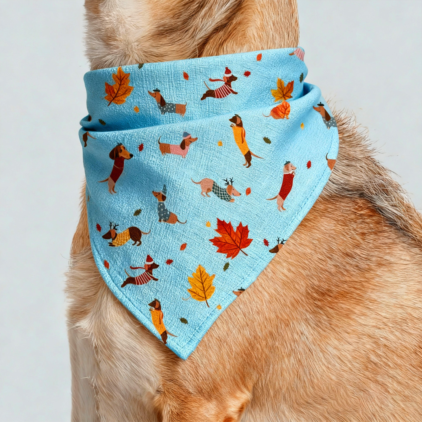 The new suit Thug series features cute pet wipes, scarves, waterproof bibs, and large, medium and small dogs, cats and dogs Application Scenario