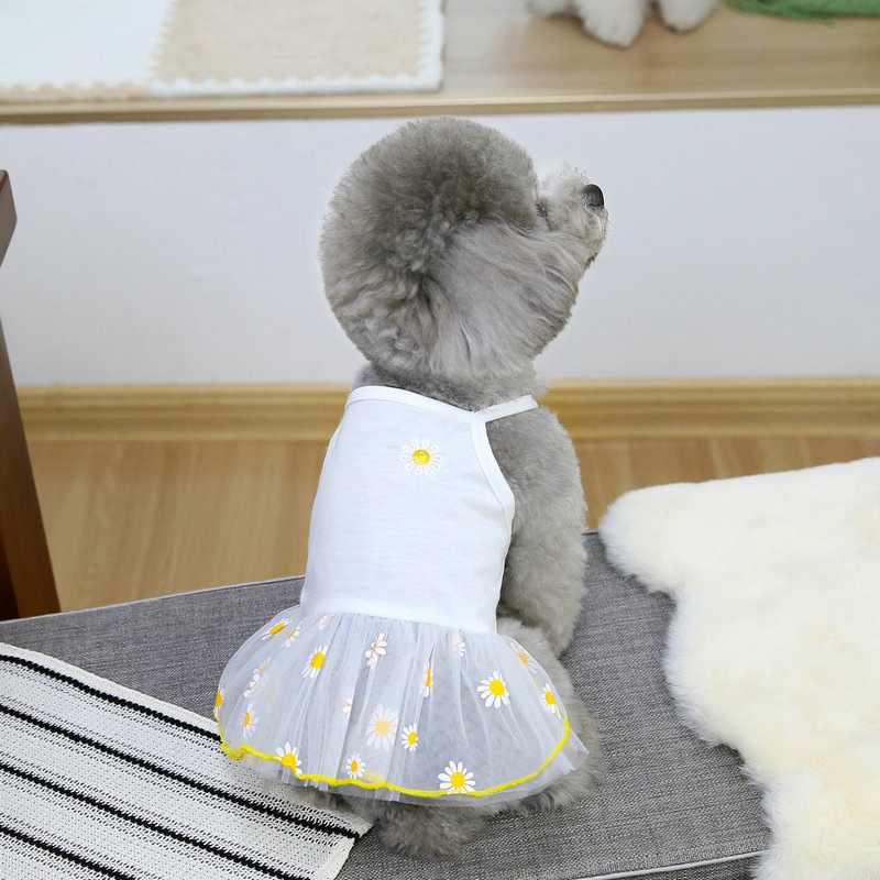 Spring and summer new dog and cat clothing, pet striped halter mesh chiffon skirt, dog supplies, 25-color golden chiffon skirt Application Scenario