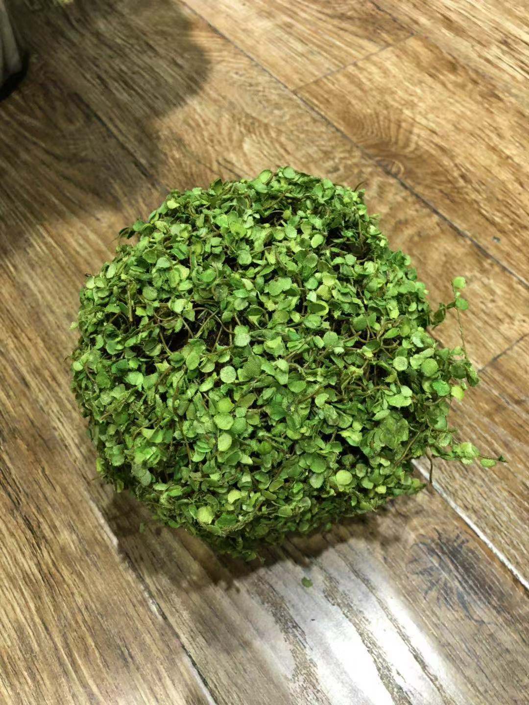 植物工艺品实物图