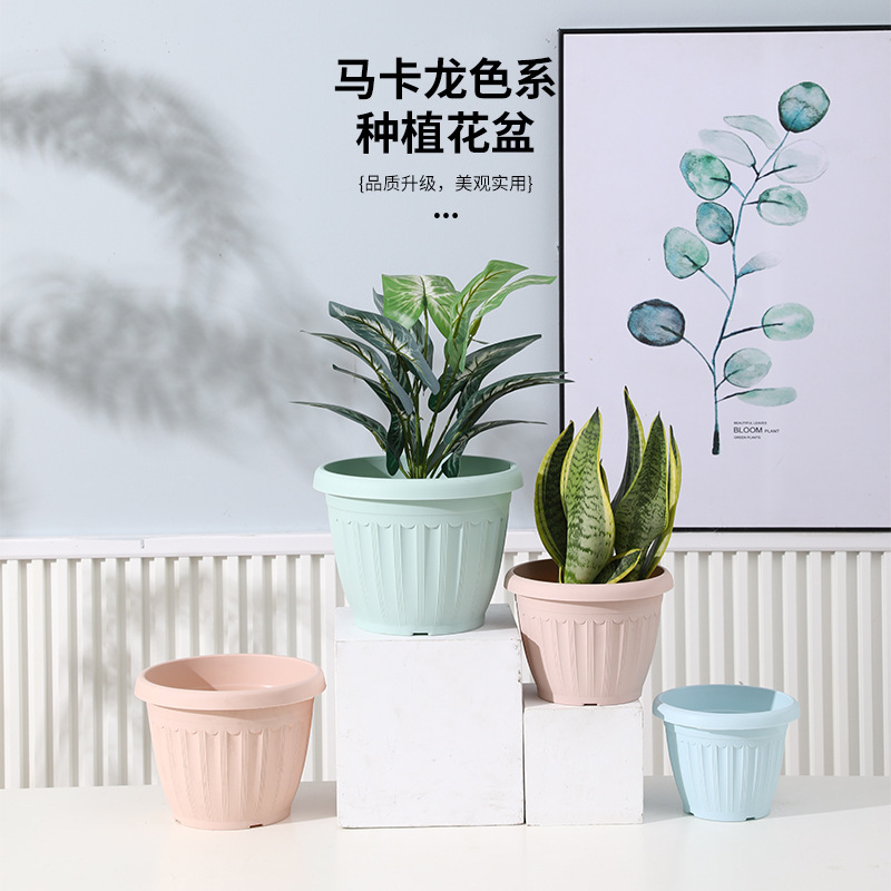 新款马卡龙条纹塑料花盆深型Deepot大号阳台绿萝种植盆加厚育苗盆