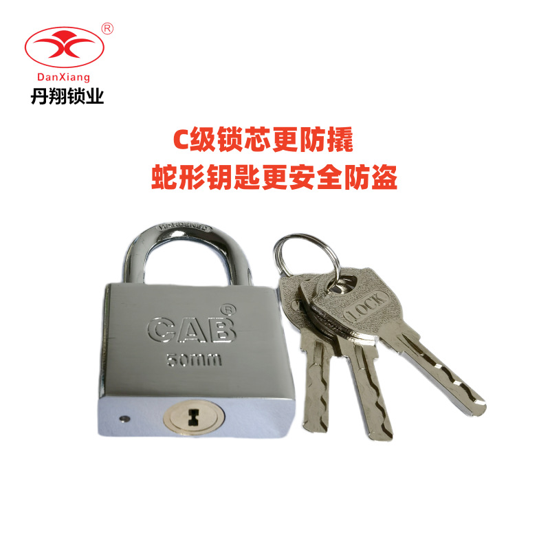 C级全铜芯叶片挂锁 S槽蛇形槽钥匙奥迪挂锁防盗防撬防爆锁头 锁具
