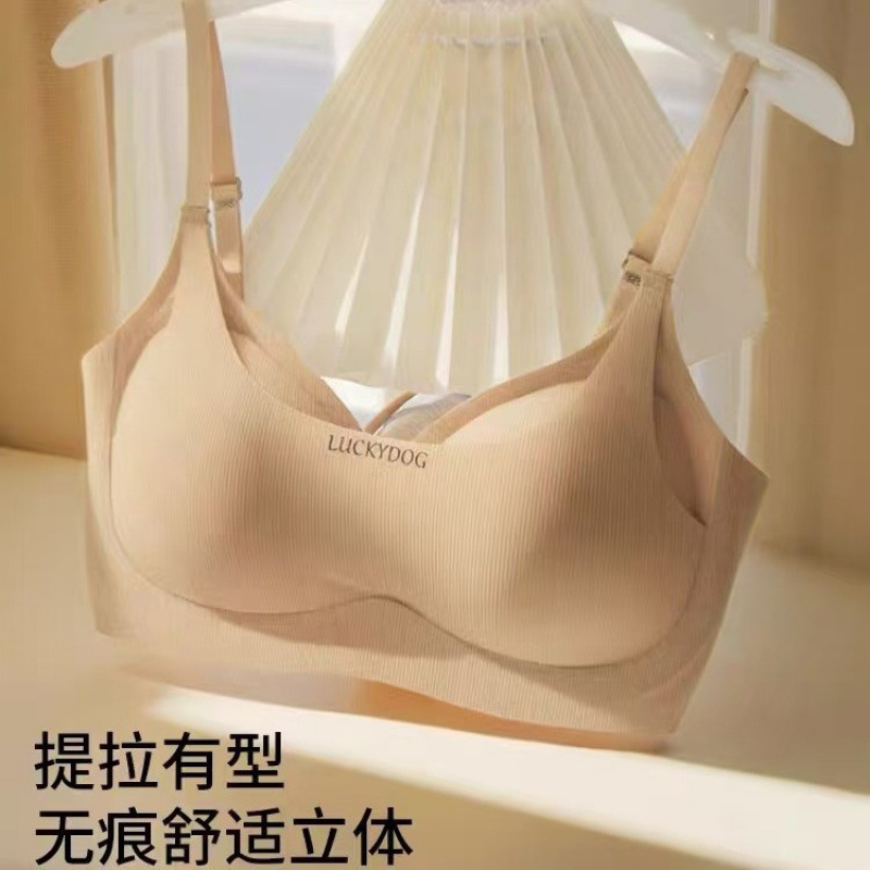 2025新款提拉聚拢内衣女小胸显大挺胸收副乳防下垂上托无钢圈文胸