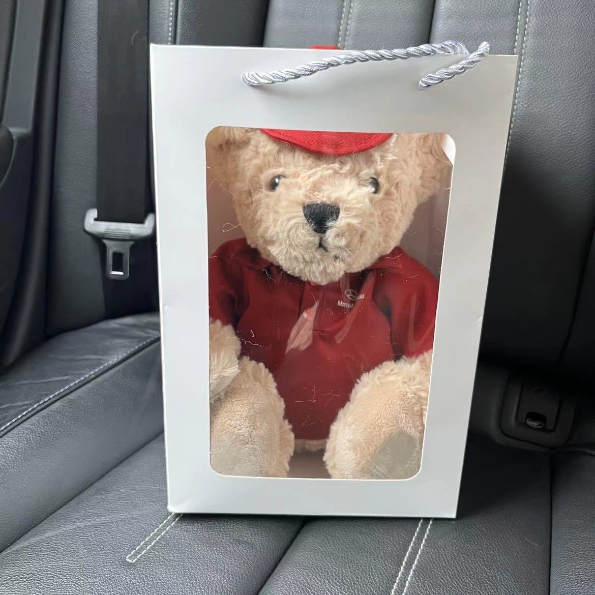 Regalo mercedes BMW audi logo oso peluche peluche formula lote etiqueta del coche Application Scenario