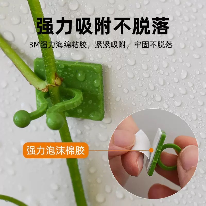 The magic tool for climbing the green vine, the wall climbing green vine fixator, the green plant climbing clip, the wall traceless hook, and the climbing vine stick details Picture