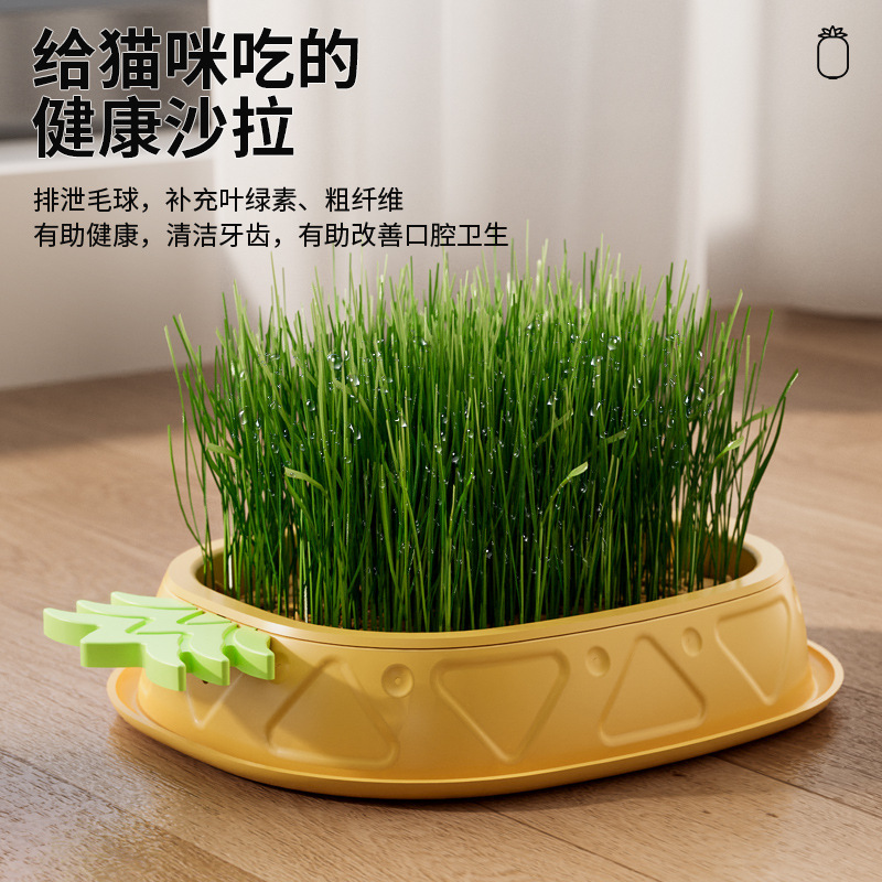 The original pineapple cat grass box is designed for soilless hydroponics with a layered design to expel hairballs and dissolve hair, promoting digestion and cultivation Application Scenario