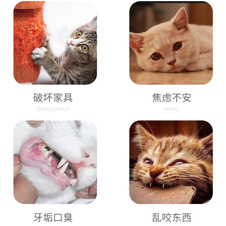 Cat toy caterpillar cat teaser, replaceable head fishing rod, cat self-entertainment toy, interactive cat teaser, replaceable head Application Scenario