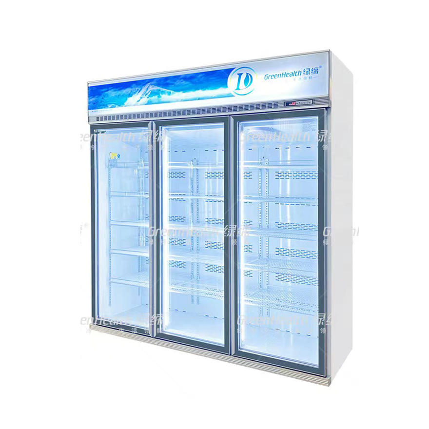 商用节能2门3门玻璃展示冻品GlassDoorFreezer立式冷冻柜产品图