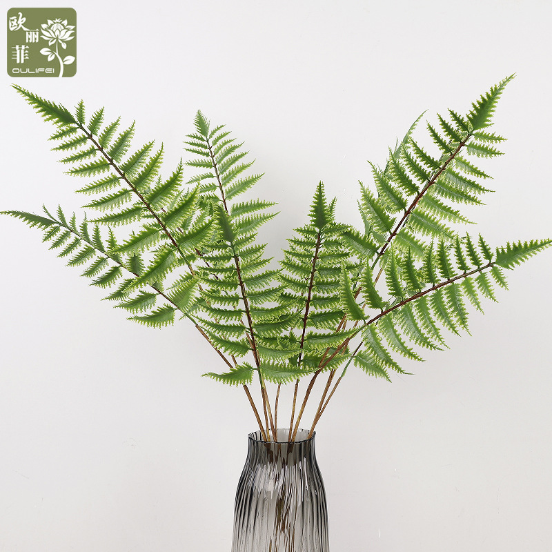 Nordic simulated green plants: 3-forked serrated leaves, simulated asparagus leaves, black bone miscanthus, Persian grass, home fern grass, cross-border green plants details Picture
