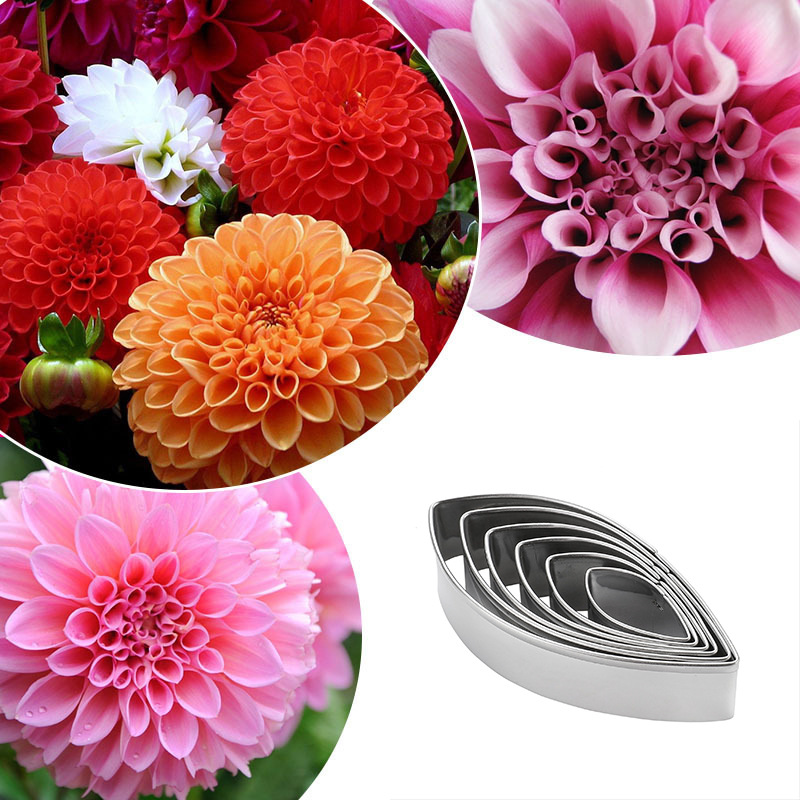 厨房用品烘培模具不锈钢英式翻糖糖花朵切模大丽花造型模具6个大小尺寸A606