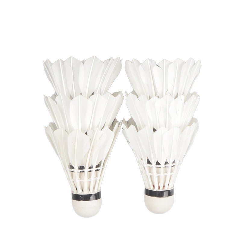 import白底实物图