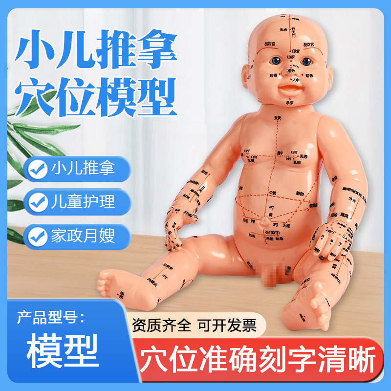 小儿推拿穴位模型婴儿人体穴位教学仿真儿童穴位训练模型儿童保健辅助工具