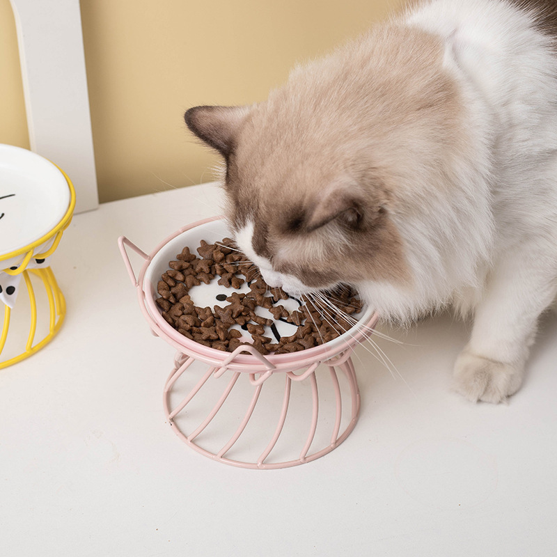 Wow custom cat bowl, ceramic high-legged neck guard, large-mouthed pet food bowl, Garfield cat special flat face bowl snack plate Application Scenario