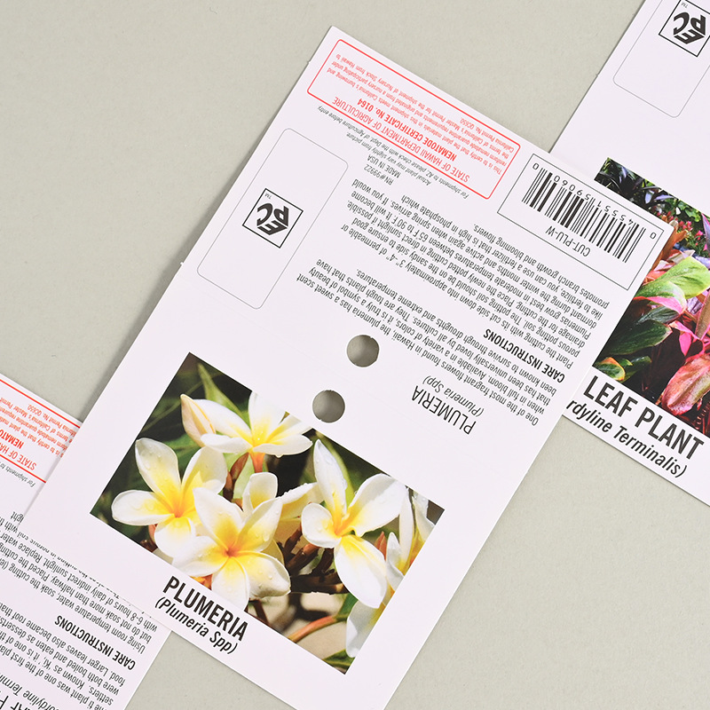 Folded paper card packaging, color card paper packaging, card head customization, tag printing, blister paper, pvc card back, airplane paper Specification image