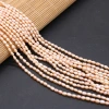Exquisite natural freshwater pearl rice beads DIY jewelry accessories, handcrafted jewelry necklaces, semi-finished product production and wholesale Specification image