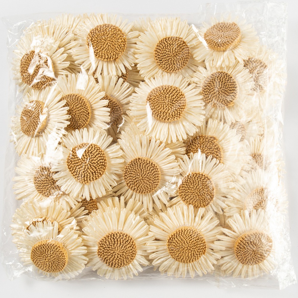 太阳花PP草小雏菊8CM服装包包鞋帽饰品配饰手工DIY现货厂家直销产品图