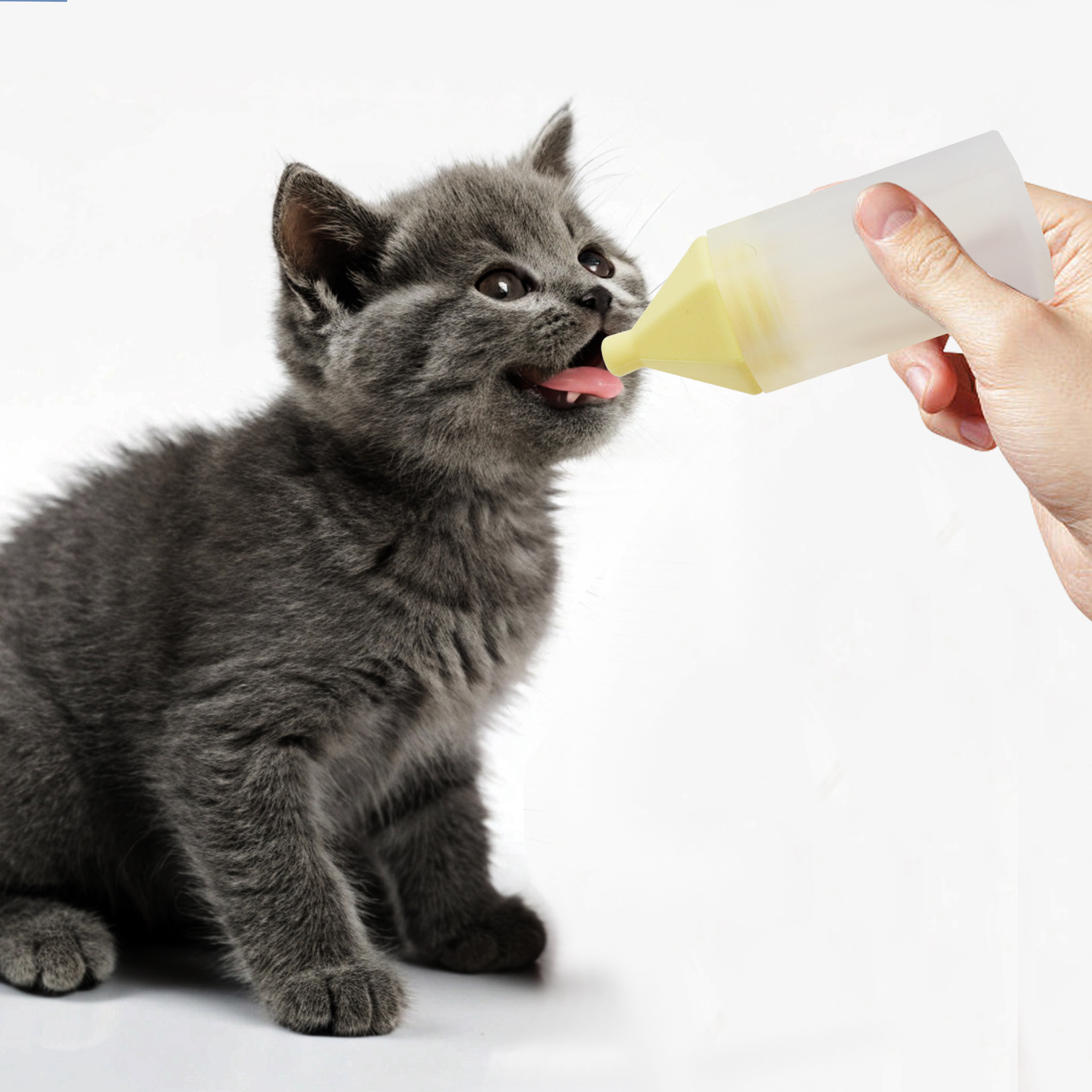 Cross-border bestseller pet cat feeding bottle 22ml silicone puppy milk bottle, feeding and pet feeding water bottle wholesale Application Scenario