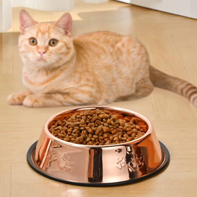 狗狗食具实物图