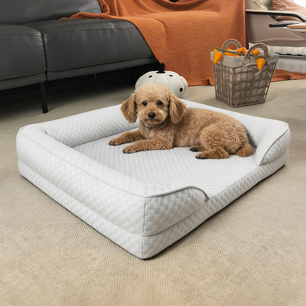 狗狗窝、笼实物图