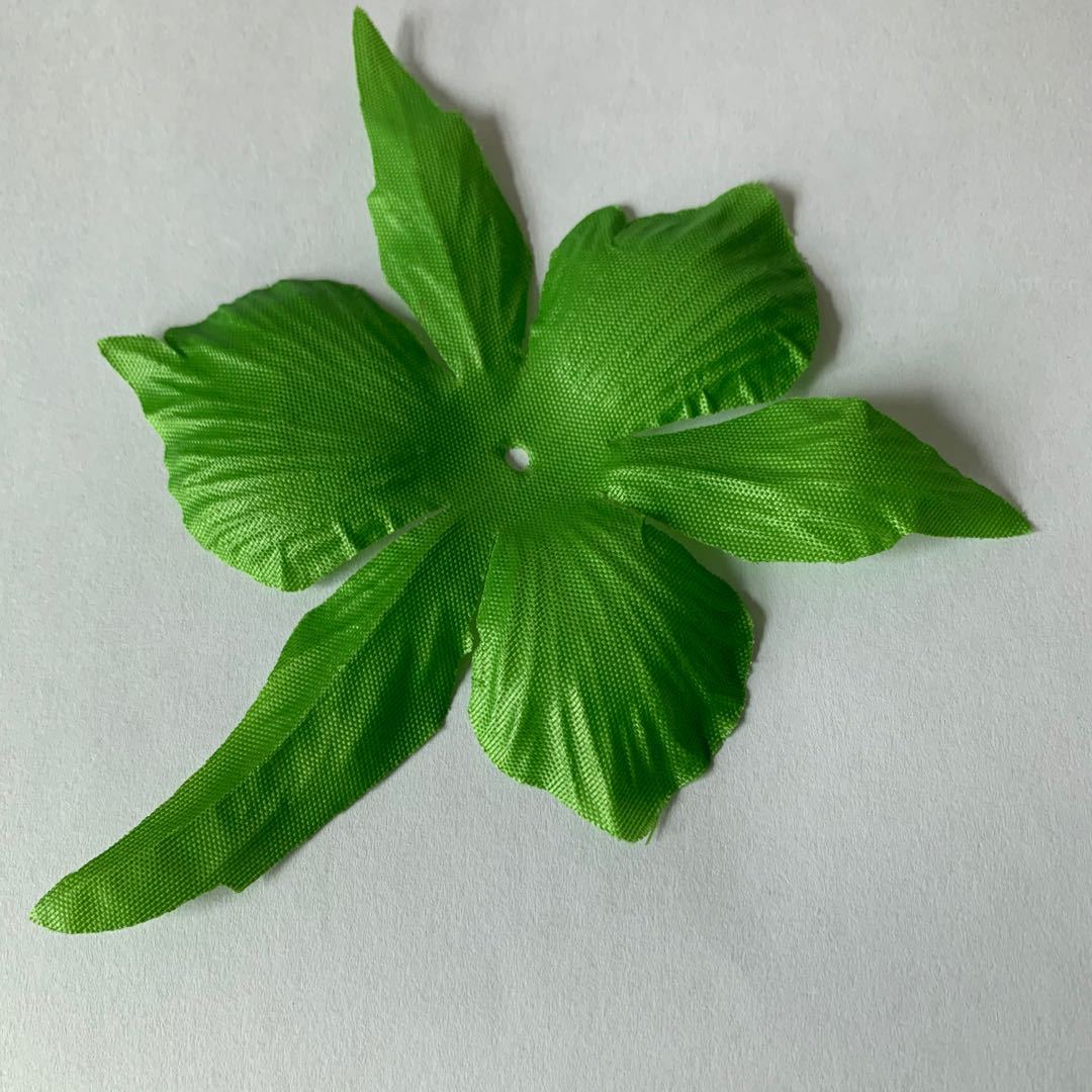 仿真蕨类实物图