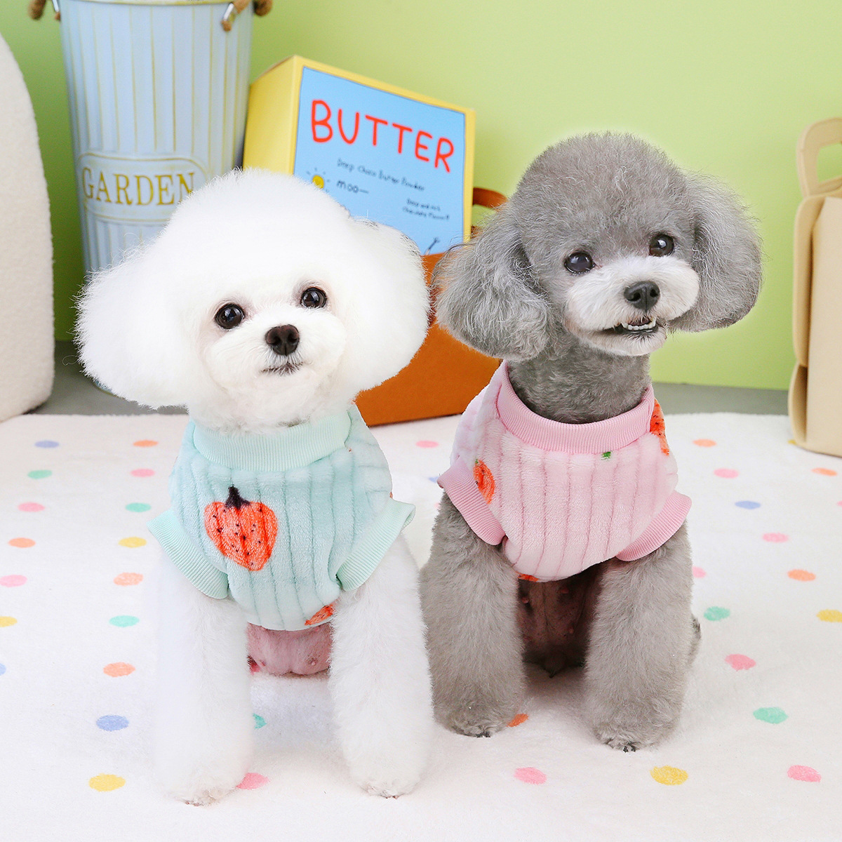 Pet strawberry fleece jacket Application Scenario