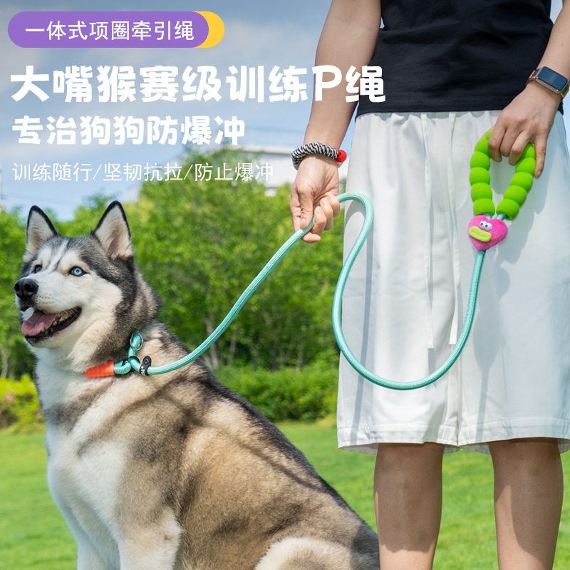 Rongka Pet's cross-border best-selling dog walking P-leash, dog leash, small dog P-chain, dog leash, dog supplies Specification image