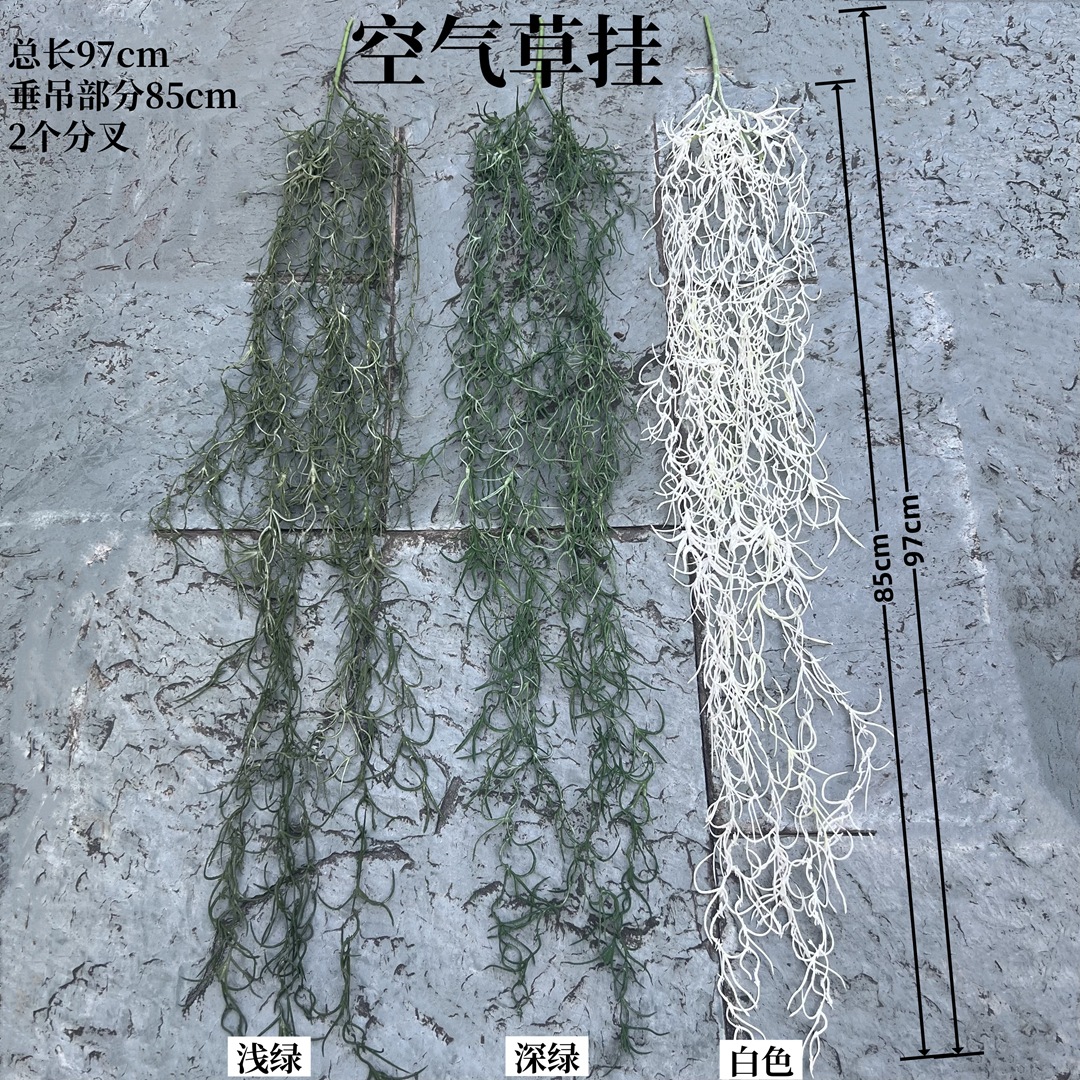 挂上绿植细节图