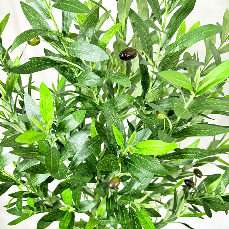 仿真植物实物图