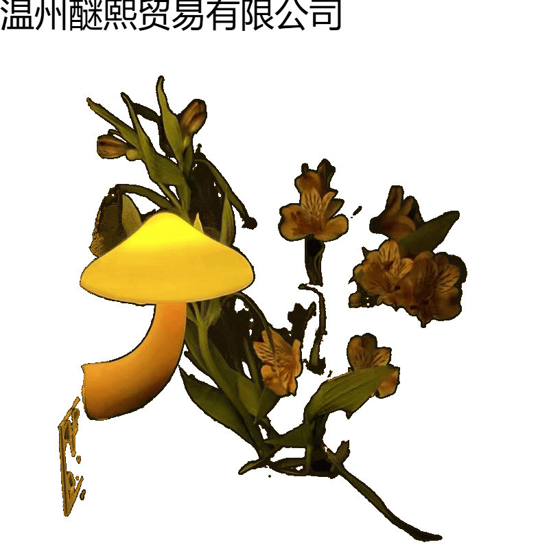 壁灯/哈利波特/插电壁灯/LED壁灯白底实物图