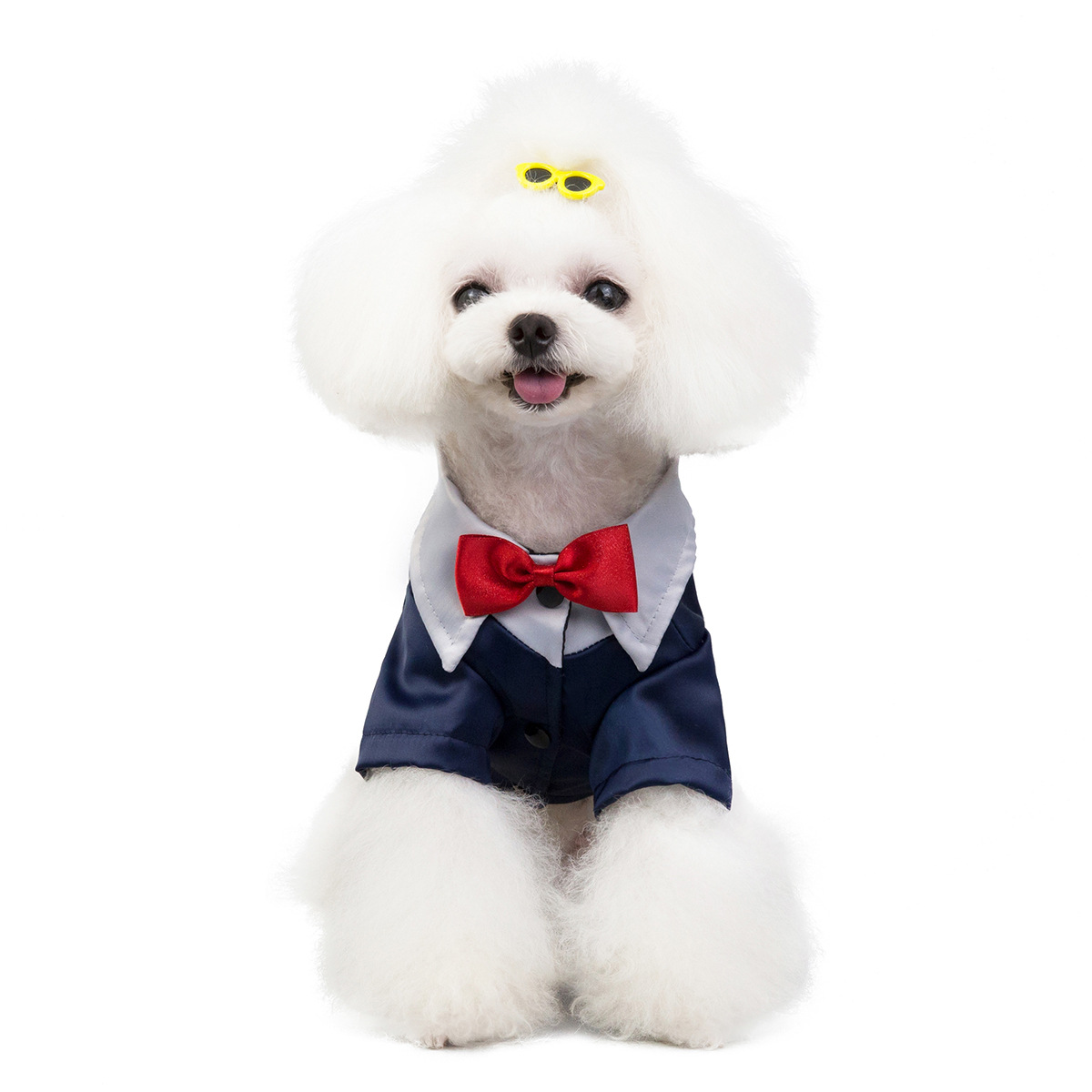 Otoño e invierno ropa de mascotas perro traje a cuadros cordón de arrastre colgante bipie inglés gran perro cross-border hot sale Item Picture