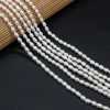 Exquisite natural freshwater pearl rice beads DIY jewelry accessories, handcrafted jewelry necklaces, semi-finished product production and wholesale Application Scenario