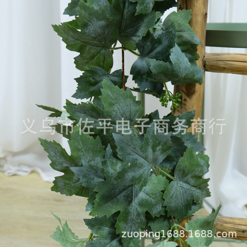 仿真果实实物图