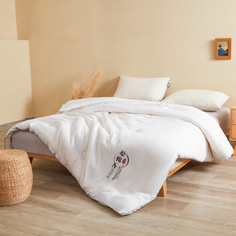 Japanese-style Class A soybean core double-person spring and autumn quilt, single-person thickened warm winter quilt, all-season suitable bedding details Picture