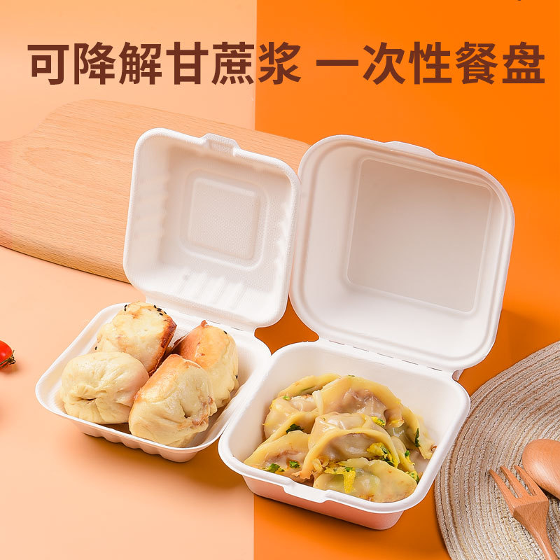 可定制图案蛋糕烧烤打包盒可降解便当盒汉堡生煎一次性外卖餐盒产品图