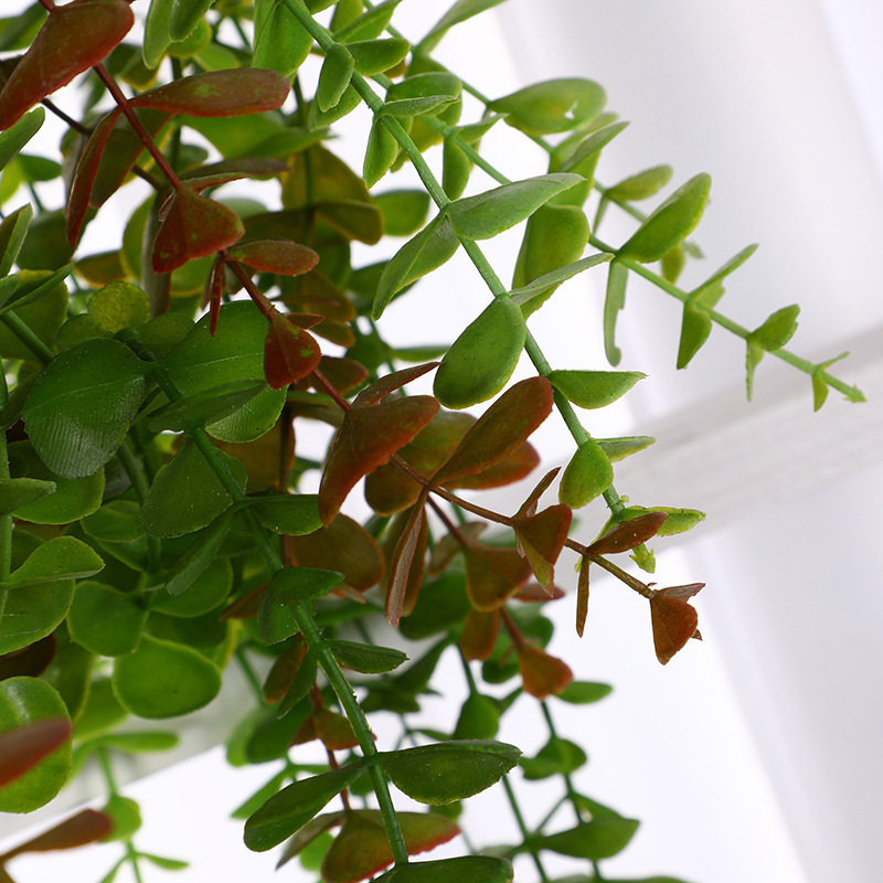新款仿真藤条植物挂件创意室内 家居PVC仿针叶塑料挂件厂家直供产品图