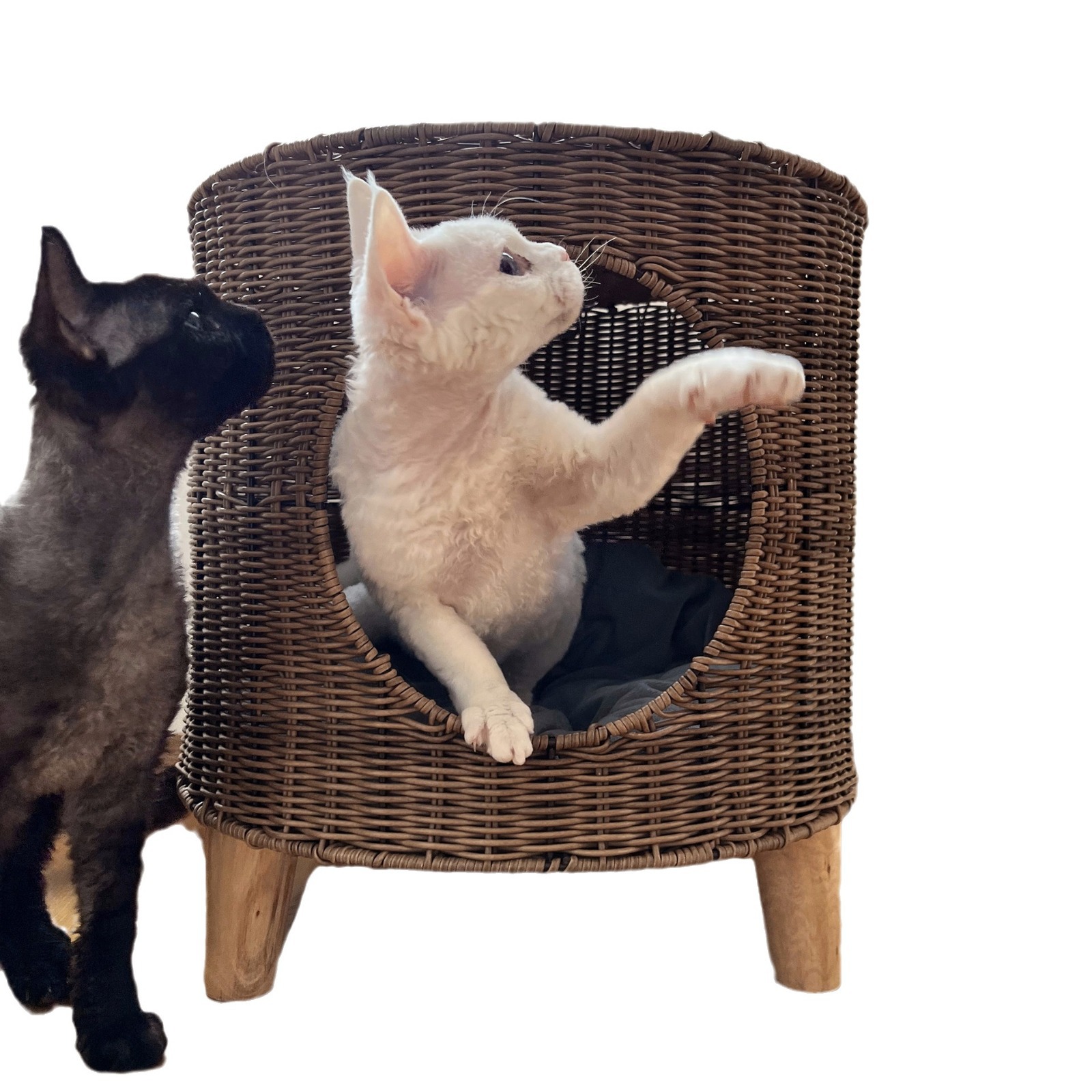 猫爬架/宠物用品/猫别墅/鸟窝/猫窝白底实物图