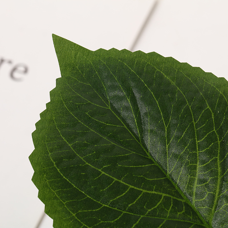 仿真蕨类实物图