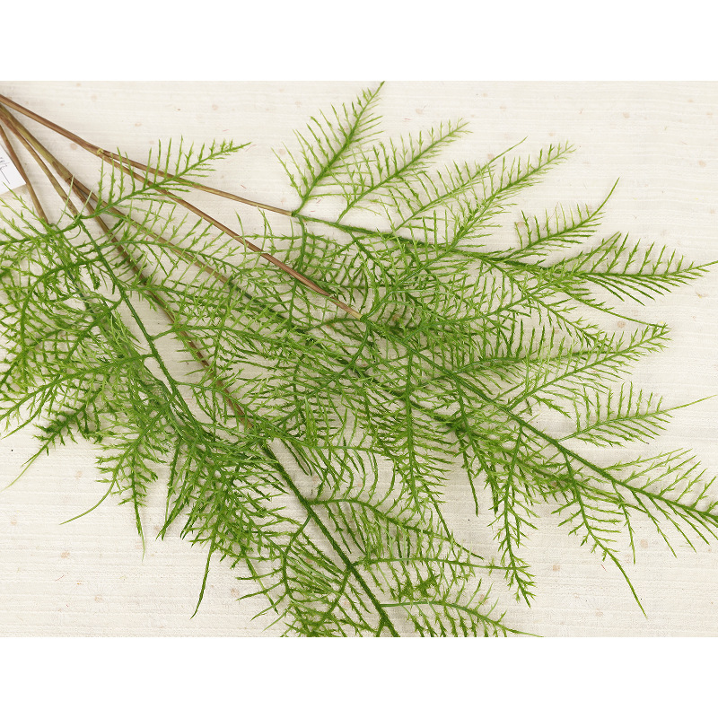 Nordic simulated green plants: 3-forked serrated leaves, simulated asparagus leaves, black bone miscanthus, Persian grass, home fern grass, cross-border green plants Application Scenario