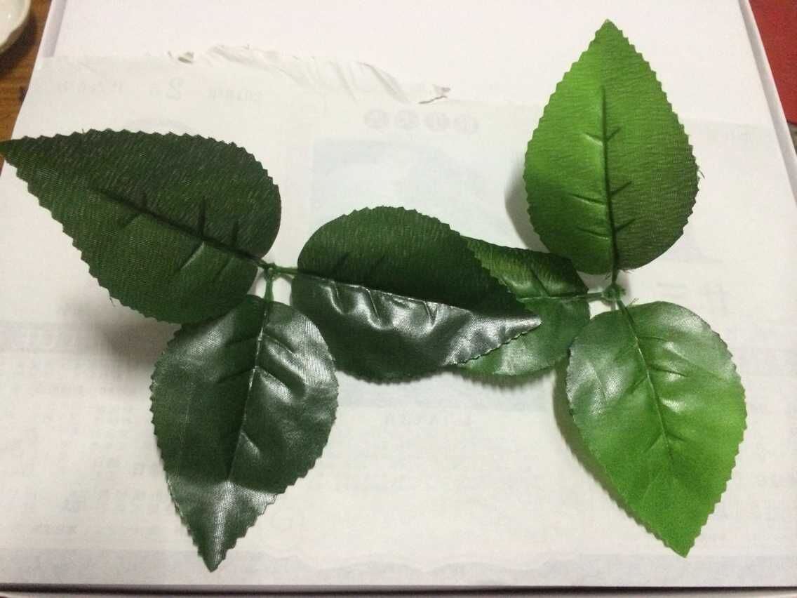 仿真花叶 三叉玫瑰叶 花材白底实物图
