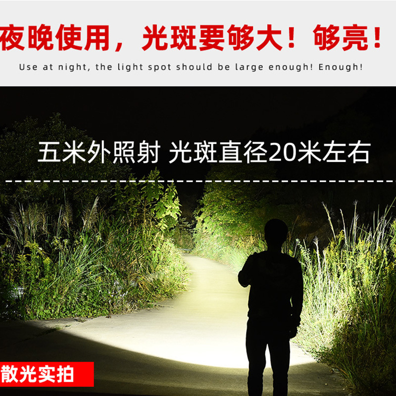 手电筒实物图