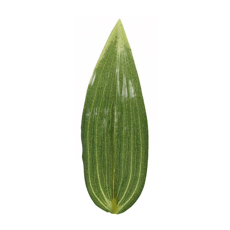 厂家直销仿真胶片丝印百合叶摄影道具橱窗摆件家居装饰现货批发白底实物图