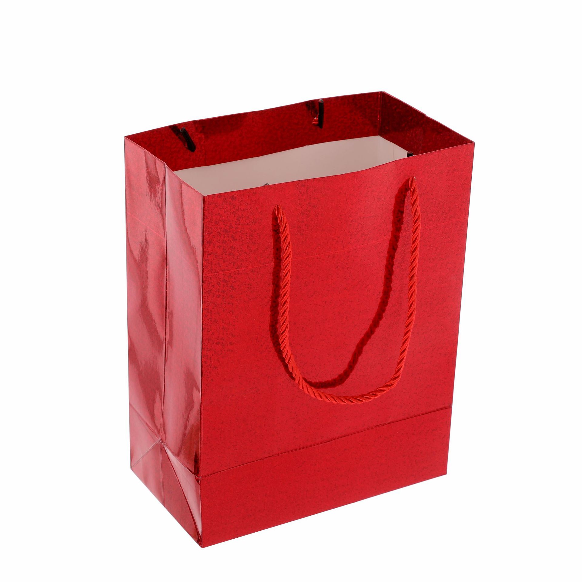 礼品袋/PVC袋子/包装袋pvc/服装店包装袋/服装店打包袋白底实物图