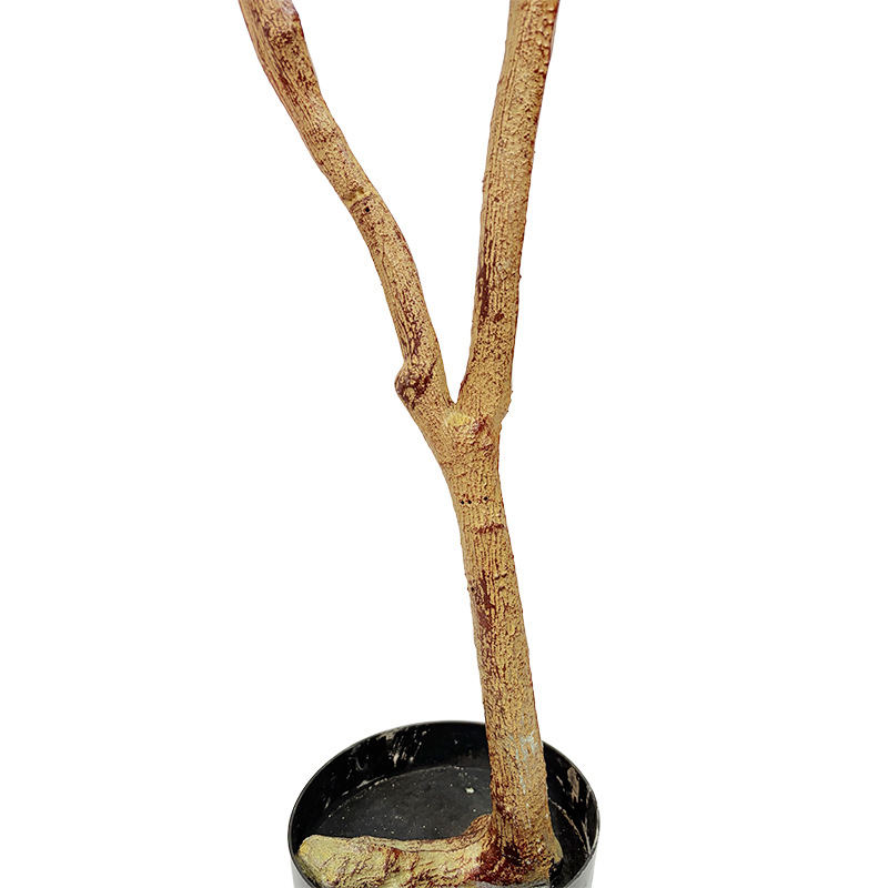 仿真植物实物图