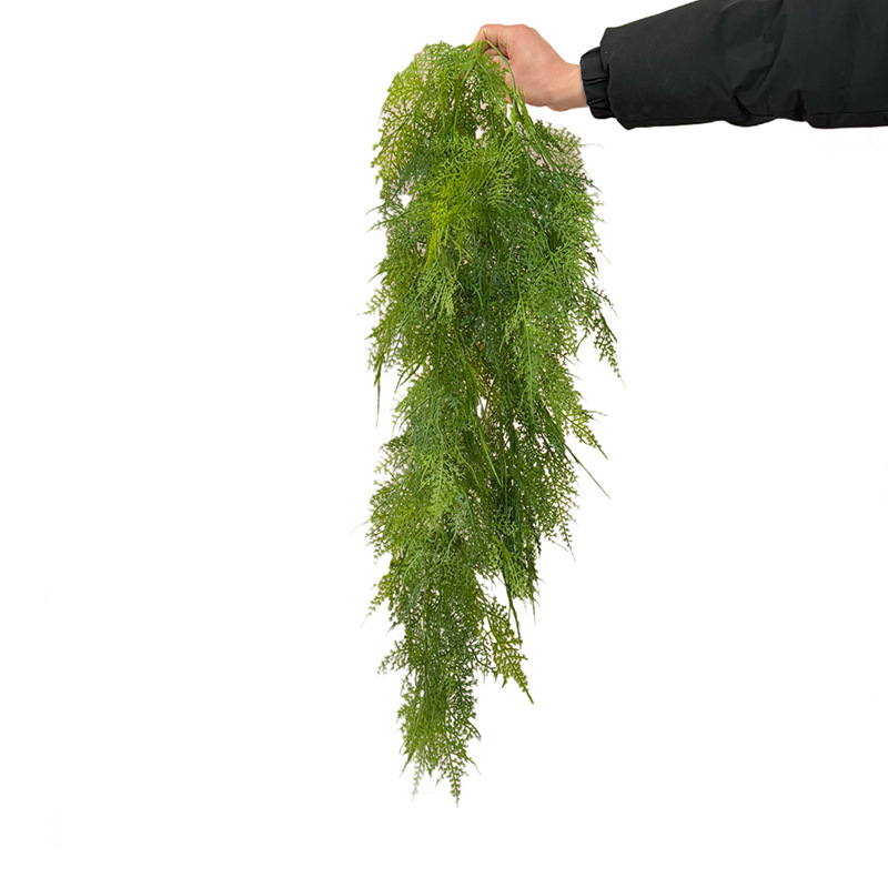Artificial green plants, wall-hung orchids, hanging green plants, ferns, wall pipes, ceiling decorations, fern leaves, vines details Picture