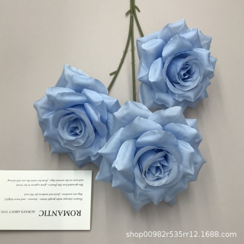 仿真草皮实物图