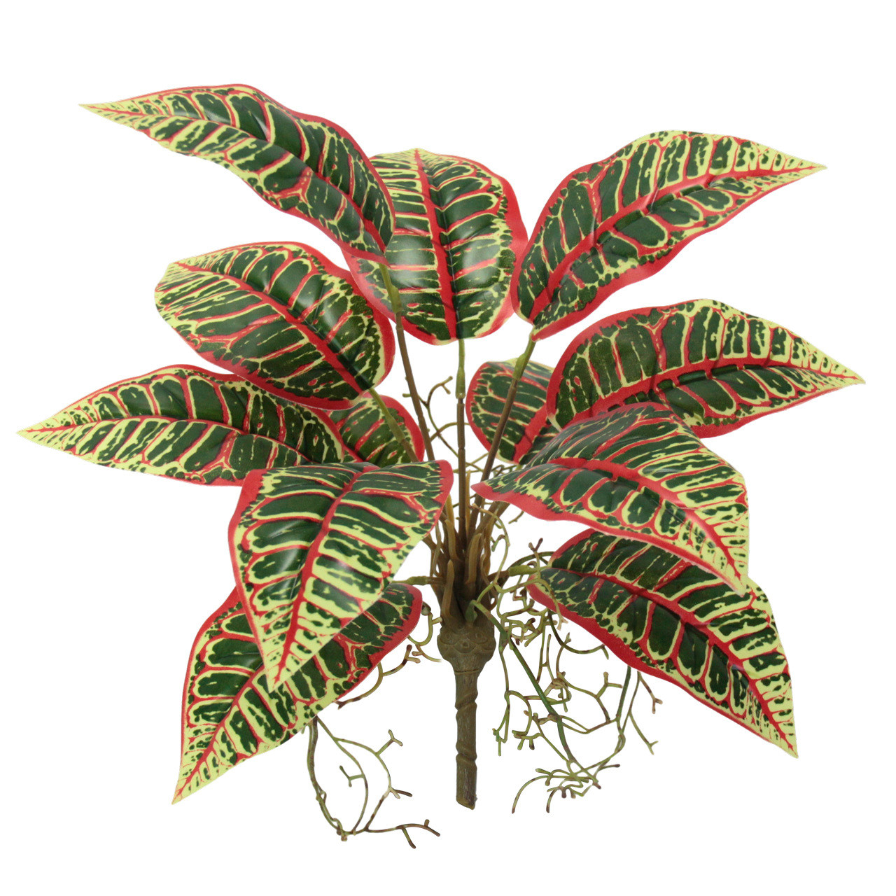 Indoor ornamental small potted plants with green leaves and red edges, succulents, flowers and green plants Item Picture