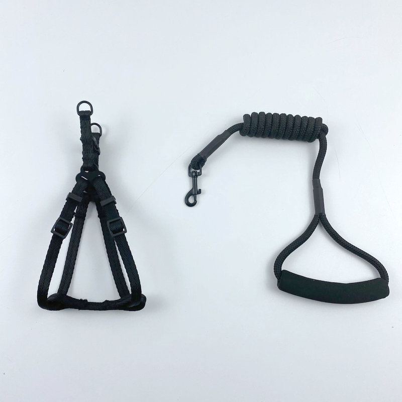 Rongka Pet Cross-border pet chest and back straps, dog leashes, canvas vest type chest and back straps, medium and large dog walking anti-escape chest and back dog supplies details Picture