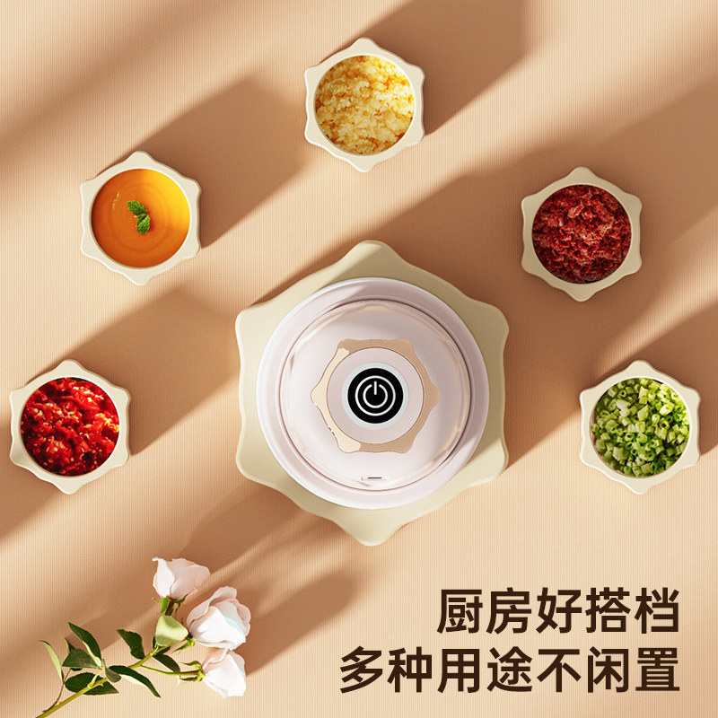 绞肉机/拍拍乐/厨房手动搅肉器/绞肉机头/小型手动不锈钢绞肉机细节图