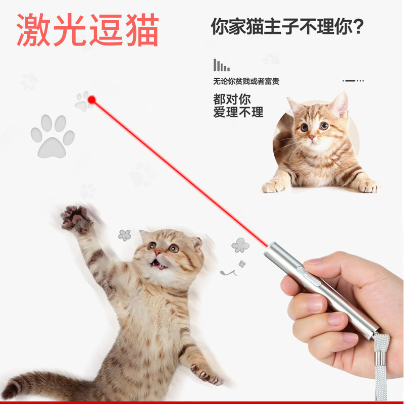 Multi-functional high-intensity mini flashlight, ultraviolet banknote detector lamp, laser infrared three-in-one small purple light flashlight Application Scenario