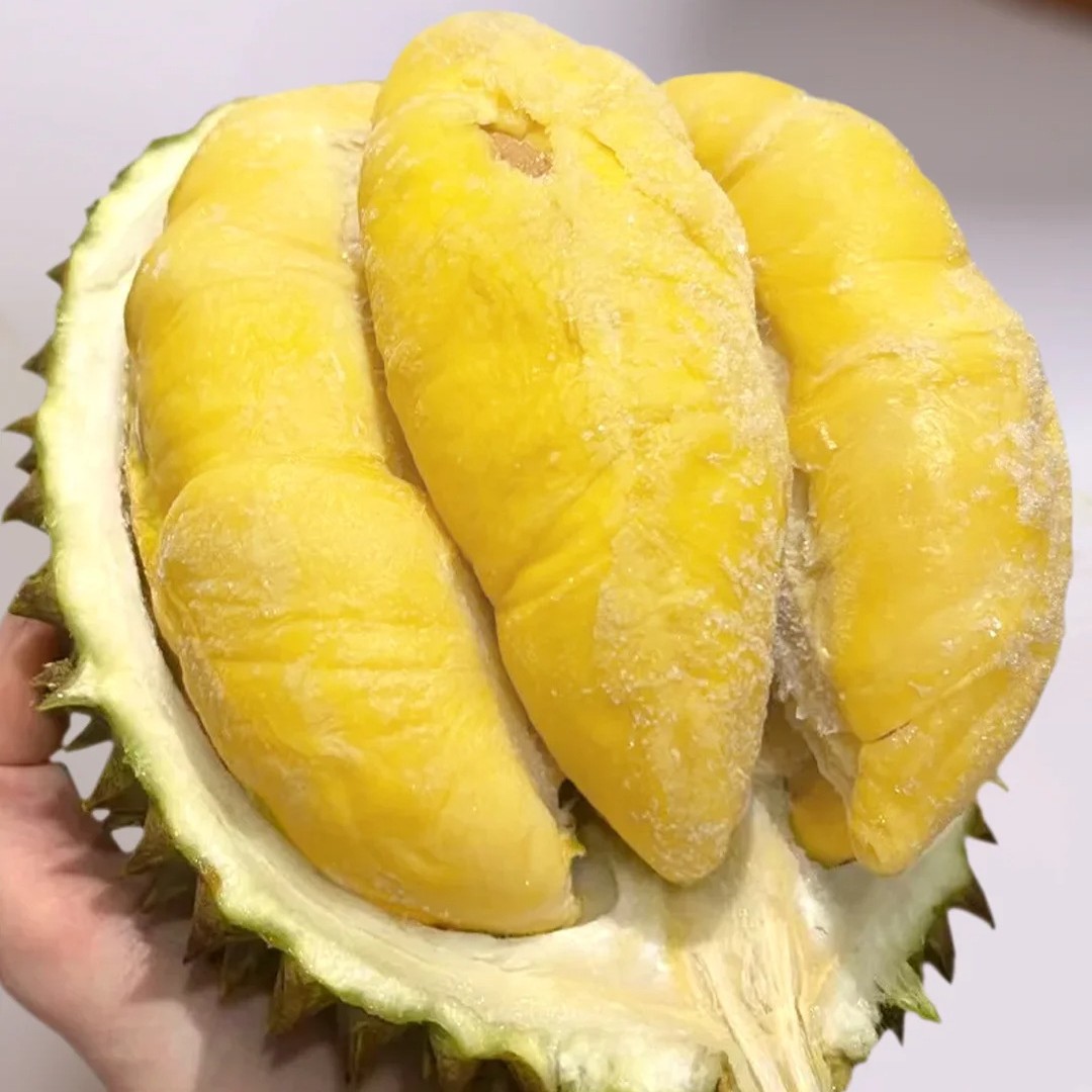 Authentic Cat Mountain King durian d197, liquid nitrogen frozen preservation, fresh durian with shell in season, wholesale from the source details Picture